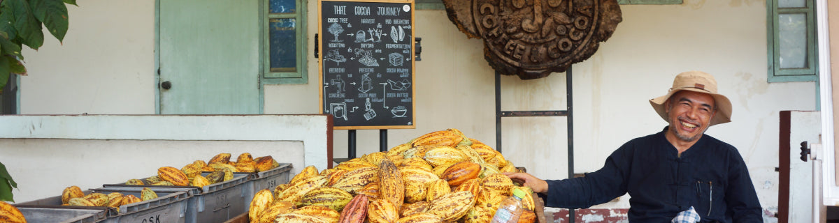 lampang cacao farm