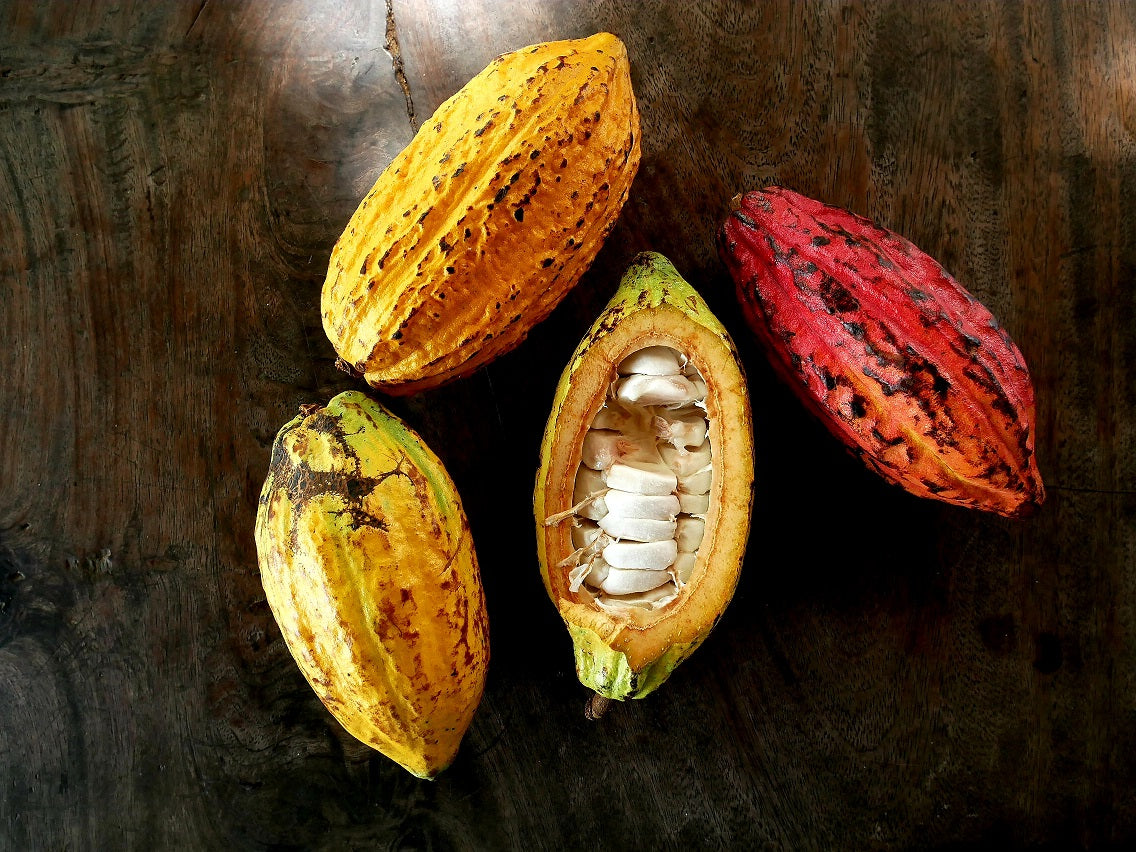 Meet the cacao farmer