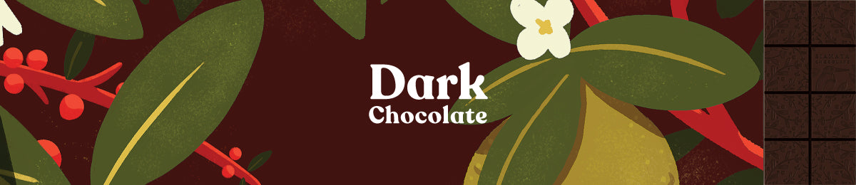 Dark Chocolate Bars